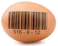 food-traceability
