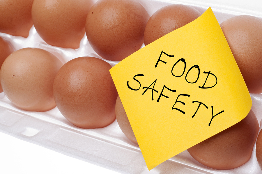 Food Safety Concept