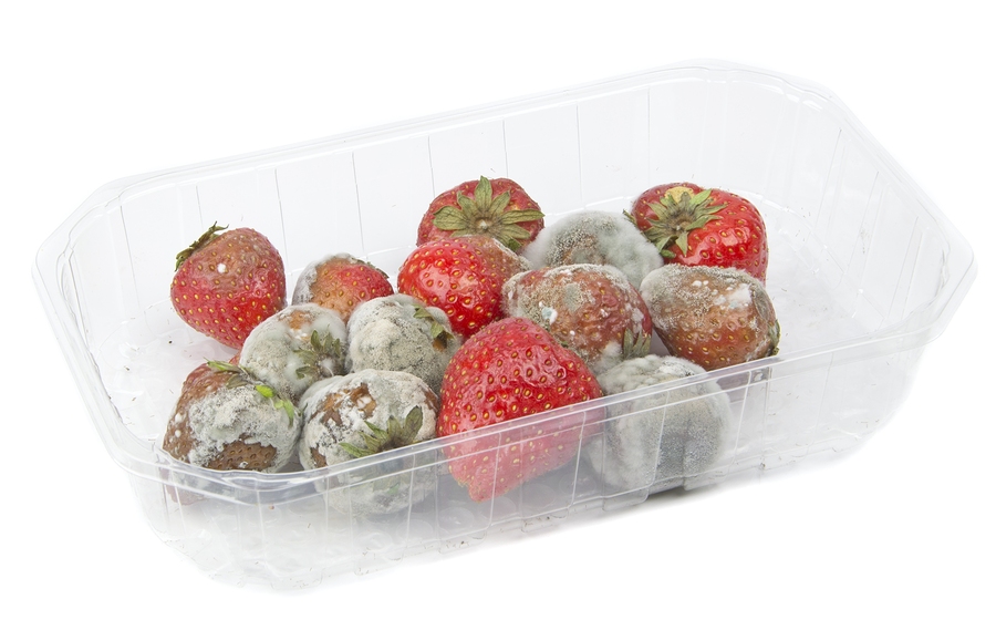 A Packet Of Rotten Mouldy Strawberries