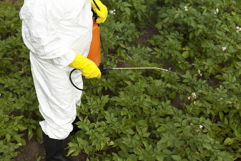 What Food Producers and Exporters Need to Know about Pesticide Residue Limits