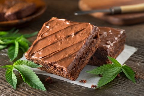 Food Safety Solutions for Edible Cannabis: Contamination, Sourcing and SOPs