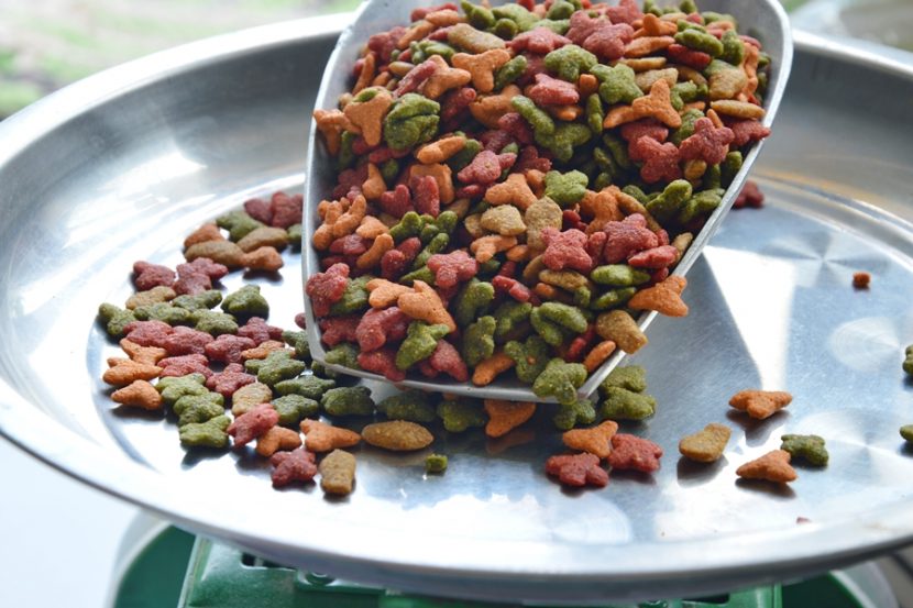 Pet Food Safety: Auditing to Meet the New Regulations