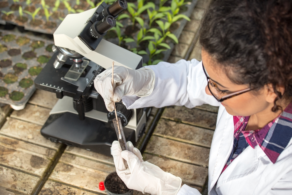 scientist using microscope to detect pathogens