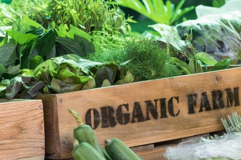 Tap into a Large and Growing Market by Getting Certified Organic