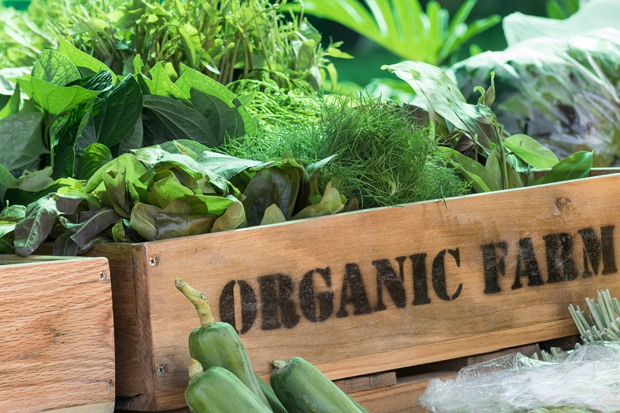 Getting Certified Organic