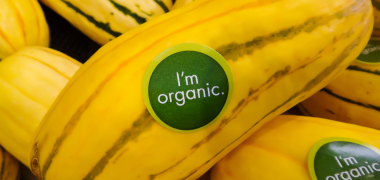 How to Protect Your Company from Organic Food Fraud