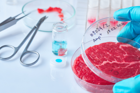 Where’s the Beef? Cell-Cultured Meat Grown in a Lab Needs Regulation