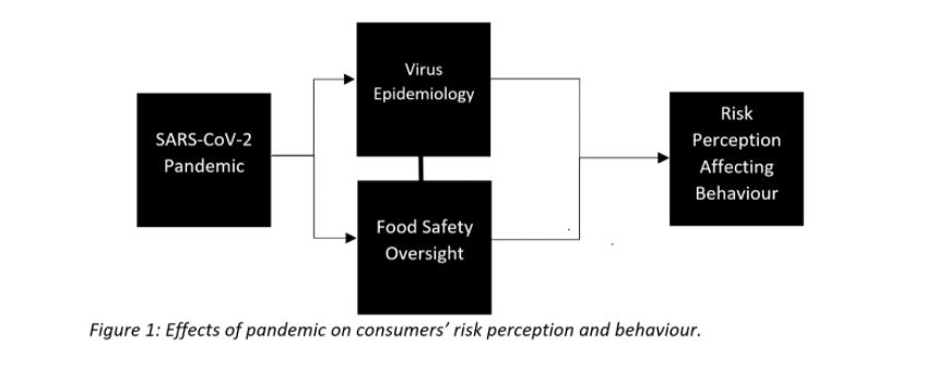 A chart depicting the effects of the pandemic on consumer risk perception and behaviour