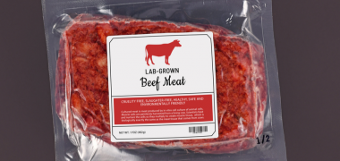 Put Science and Regulatory Insight Upfront for Meat Alternatives