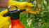 Know Your Limits: How Pesticides Protect Your Food Supply