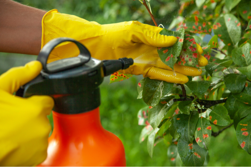 Know Your Limits: How Pesticides Protect Your Food Supply