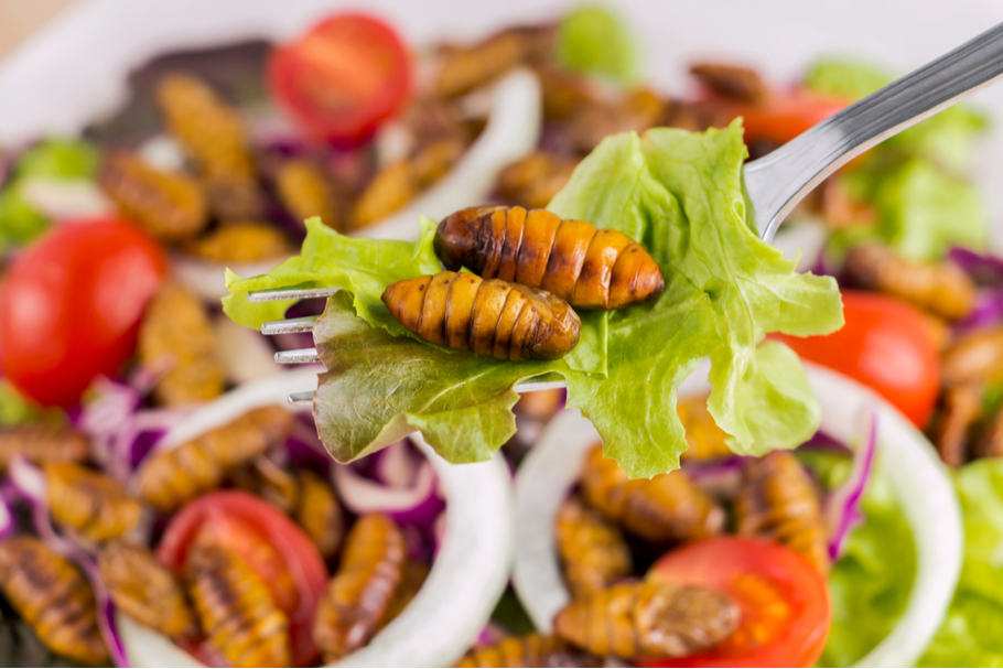 Fried silkworm sits on top of a salad