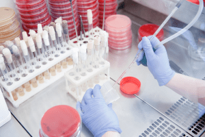 A chemist prepares a sample on a lab table filled with beakers and petri dishes