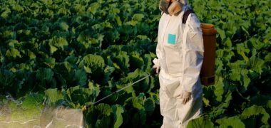 Microalgae-based Biopesticides: Closing the Gap for a Circular Bio-Economy