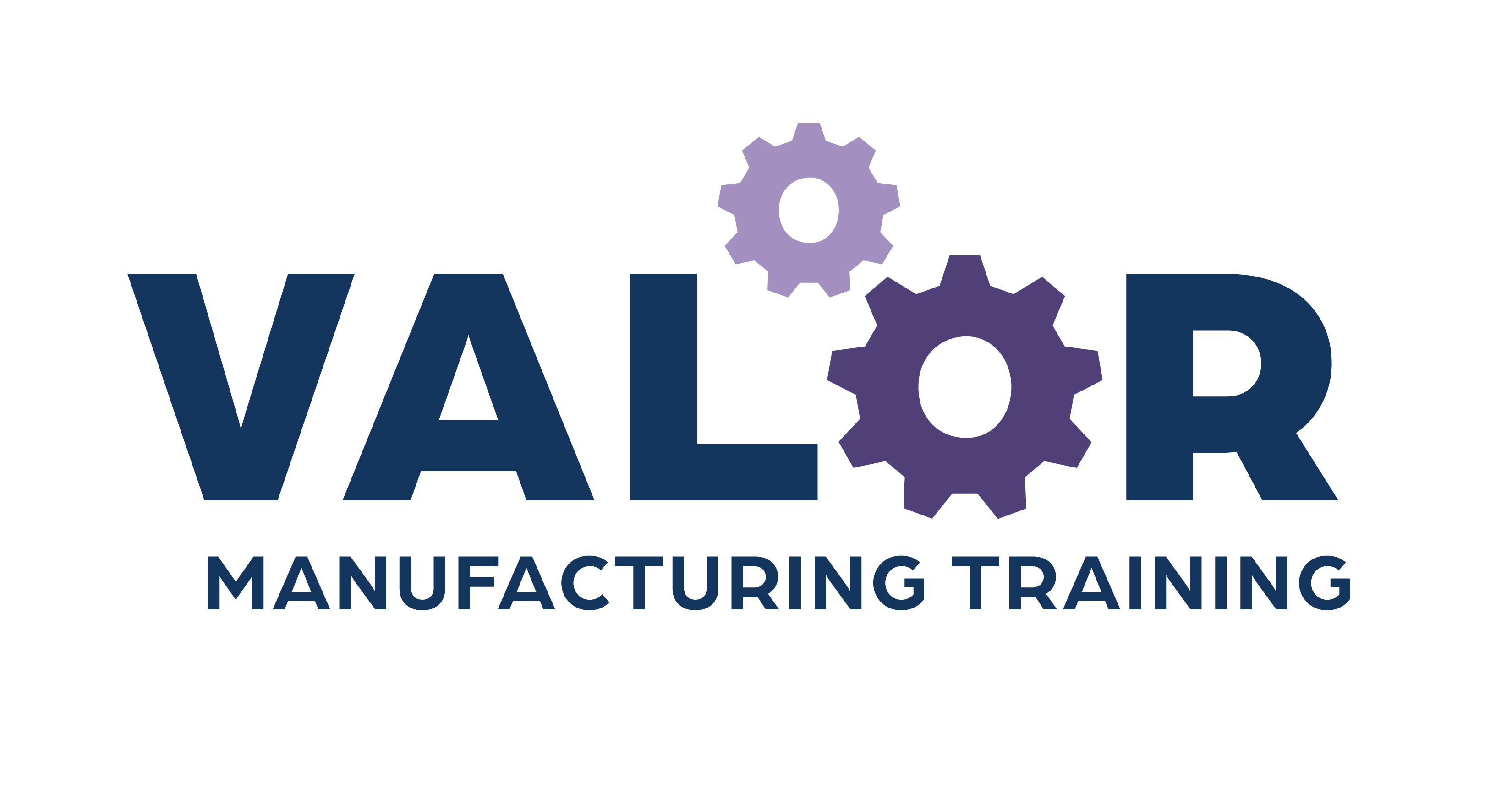 Valor Logo Color