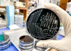 When Risks Evolve: How to Manage Emerging Foodborne Pathogens