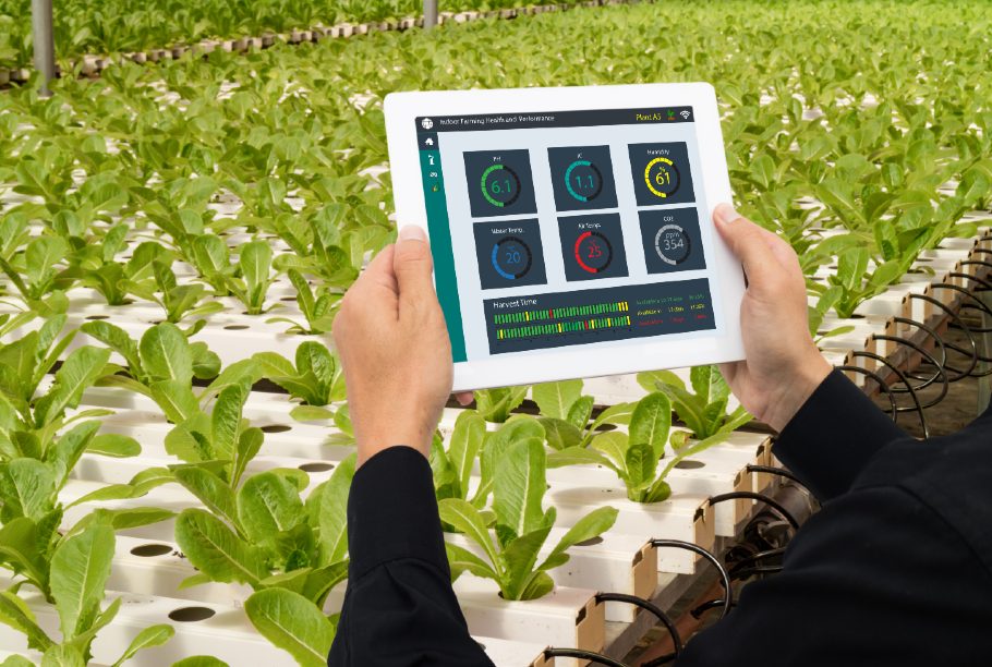 How the Internet of Things (IoT) Improves Food Traceability