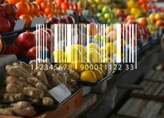 How Technology Has Improved Food Traceability Across Globalized Supply Chains