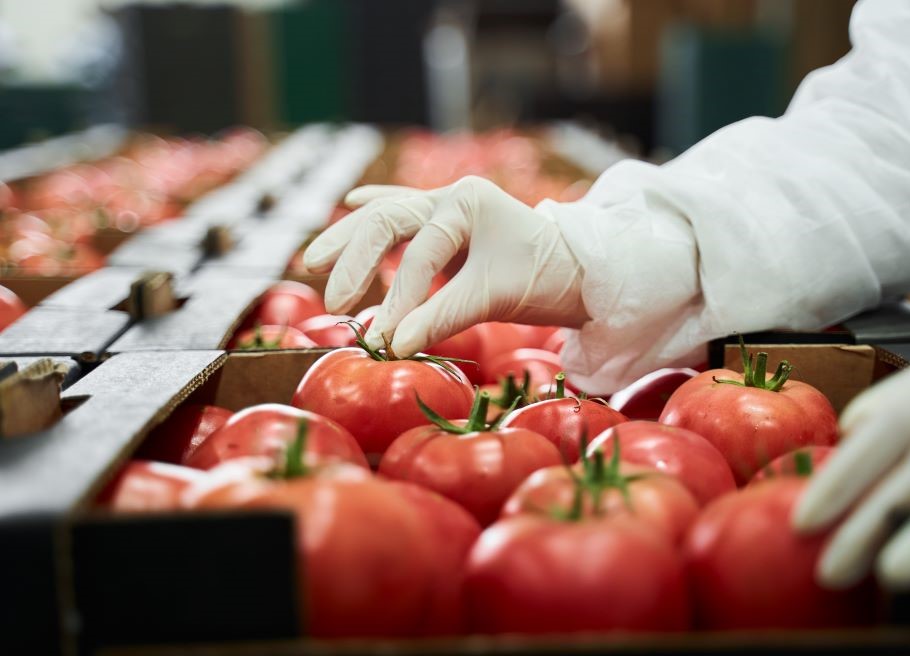 Canada Produce