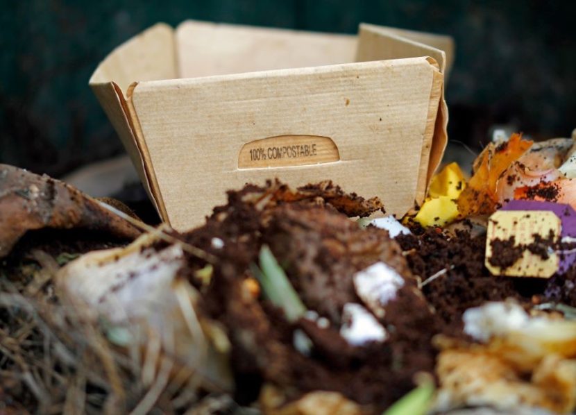 Compostable Packaging Solutions: Balancing Food Safety with Sustainability