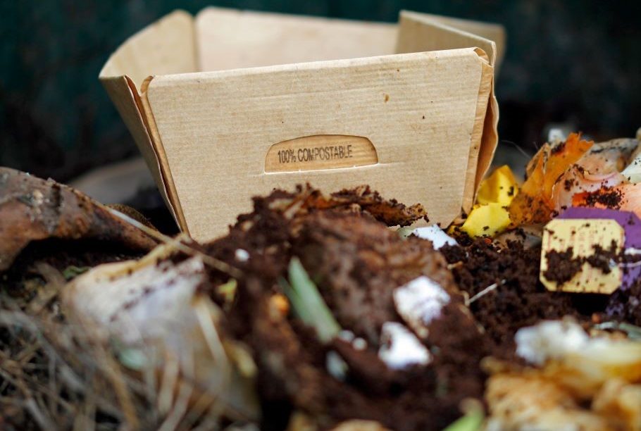 Compostable Packaging Solutions: Balancing Food Safety with Sustainability