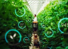 How AI, IoT, and Generative AI Enable Food Protection