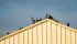 No Open Door Policy: Challenges That Impact Pest Control in Food Processing Plants